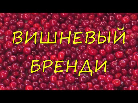 Видео: Вишневый бренди.