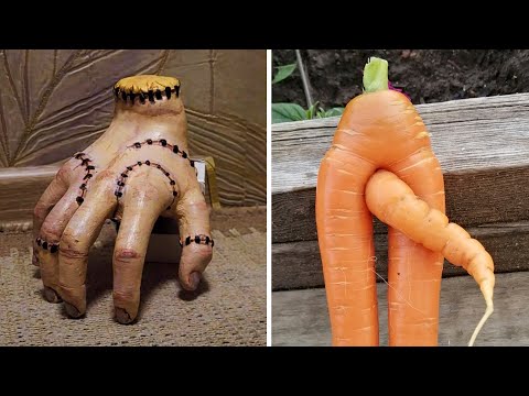 Видео: Фото подписчиков Фактории (165 часть)