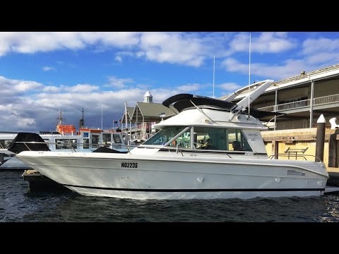 Видео: Обзор катера SEA RAY 290SFB.