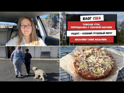 Видео: Тяжелое Утро: ПопроЩались с Собачкой Бабушки | Осенний Грушевый Пирог | Мальчики Такие Мальчики