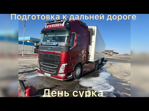 Видео: День сурка