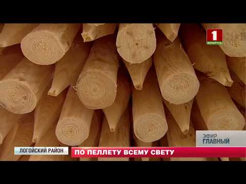 Видео: Производство пеллет -  одно из самх перспективных направлений (Главный эфир от 26.05.2019)