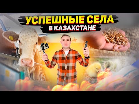Видео: Успешные села в Казахстане. Полный обзор #казахстан