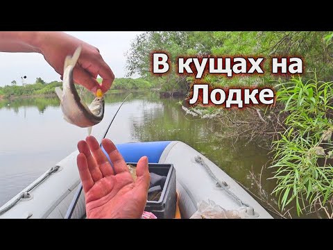 Видео: Рыбалка на удочку с лодки! Рыбы много вода кипит! Здесь водится щука!