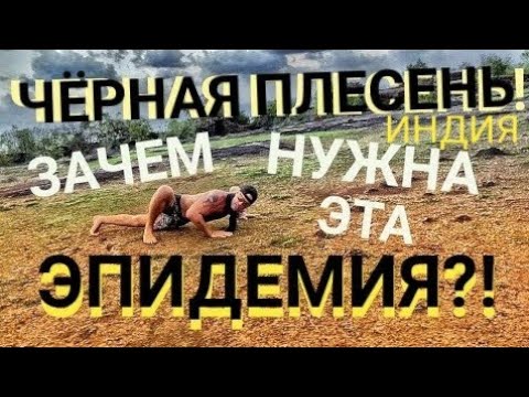 Видео: ЧЁРНАЯ ПЛЕСЕНЬ!!! ЗАЧЕМ НУЖНА ЭТА ЭПИДЕМИЯ?!МАСТЕР РЭМ Индия Гоа 2021