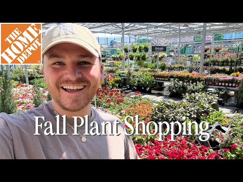 Видео: В поисках осенних красок в Home Depot для преображения оконных ящиков || Посетите наш сад