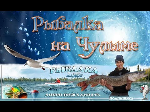 Видео: Рыбалка на Чулыме