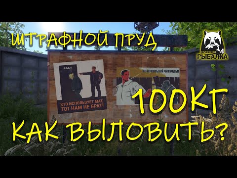 Видео: Русская рыбалка 4. рр4. Штрафной пруд. Как закрыть 100кг рыбы?