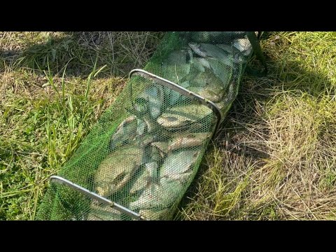 Видео: Павловка , рыбалка