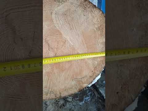 Видео: Бензиновая пилорама Астрон с китайским двигателем Lifan 15 сил