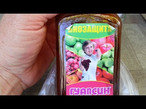 Видео: Тестируем работу биопрепарата "Гуапсин".