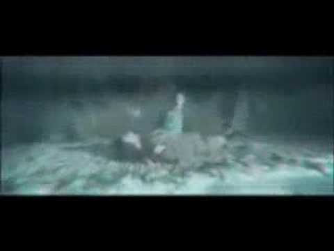 Видео: Сириус Блэк - Беспечный ангел