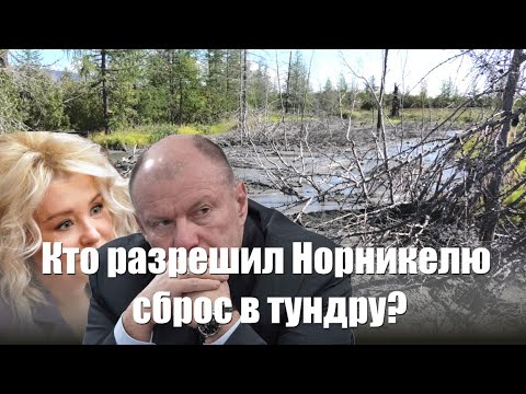 Видео: Кто разрешил Норникелю сброс в тундру?