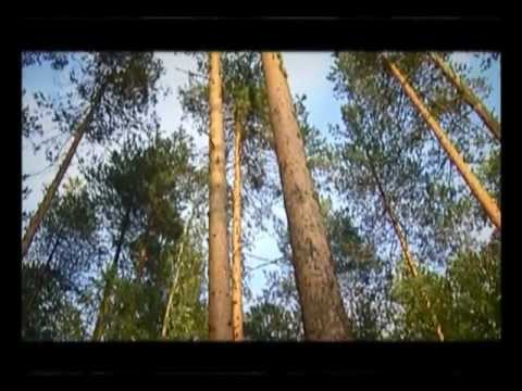 Видео: Пройти сто дорог. Выпуск 10. Никольск, часть 1