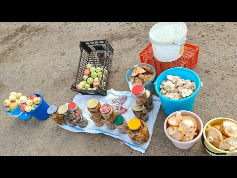 Видео: Жизнь в деревне 🏡// собрала РЯДОВКИ //торговли нет🤷//