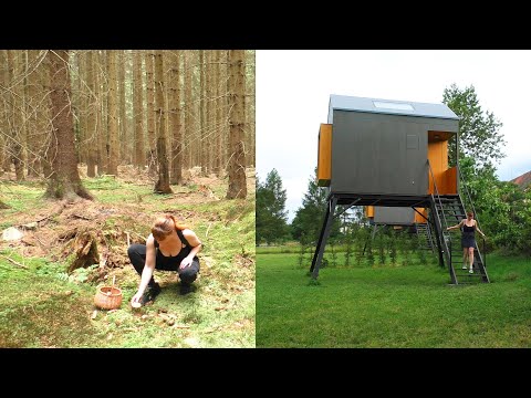 Видео: Живу в Будиночку на ніжках і збираю Гриби в Казковому лісі