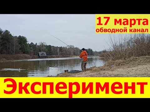 Видео: Рыбалка на фидер весной в марте Киевская область под Києвом обводной канал 2021 Лебедевка Хотяновка