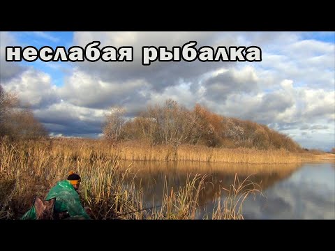 Видео: На такую рыбалку решится не каждый! Неслабая рыбалка на карася на дальнем пруду.