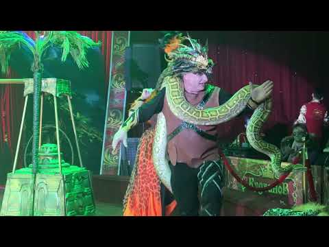 Видео: Цирк шапито Кудзинов