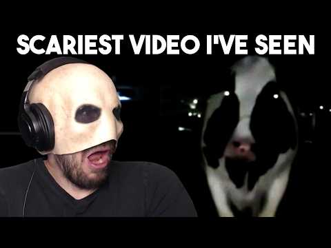 Видео: Самое страшное видео, которое я когда-либо видел! - СТРАШНЫЕ видео, которые вы НЕ МОЖЕТЕ РАЗВИДЕТ...