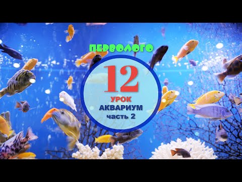 Видео: ПервоЛого. Аквариум - часть 2