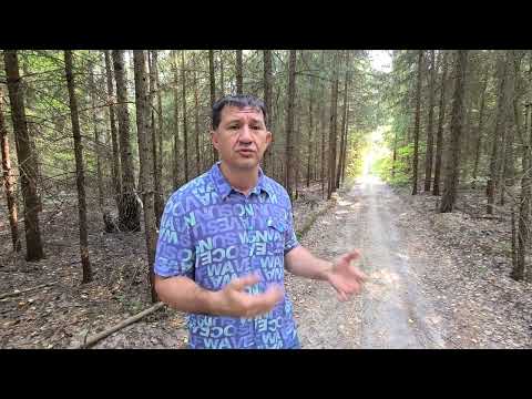 Видео: Свадьба и развод по-казански 90-х