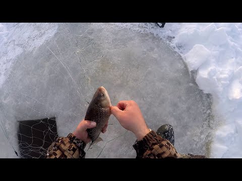 Видео: Проверка сетей зимой! Что удастся поймать?