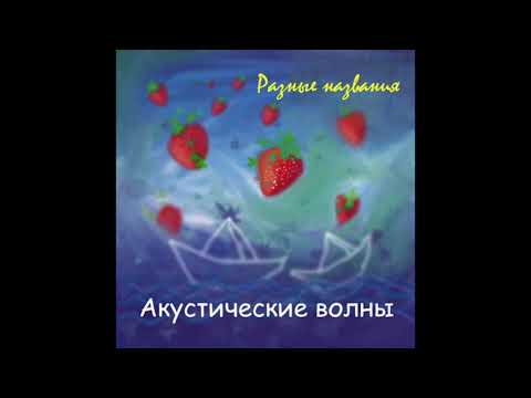 Видео: Акустические Волны - Медведи