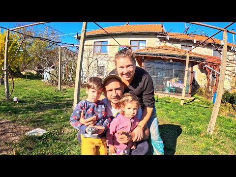 Видео: Есенни грижи в Имение Хало: рибена чорба, БОРБА с поповото прасе и ЗАЗИМЯВАНЕ на двора