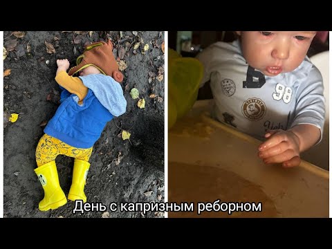 Видео: Ночь и день с капризным реборном Энеем. Что делать с реборном?👶🏻🐾💙