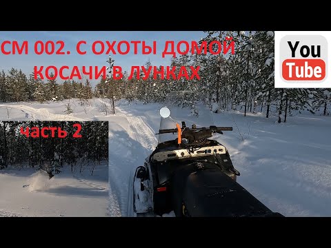 Видео: СМ 002 . С охоты домой, косачи сидят до последнего часть 2