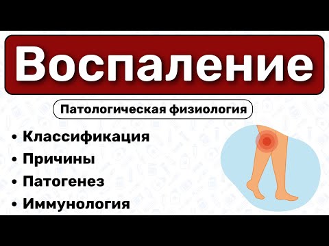 Видео: Воспаление: виды, патогенез / Патологическая физиология