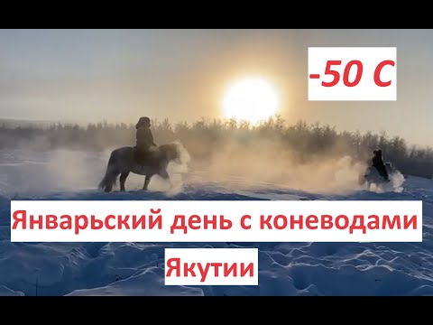 Видео: Январский день с коневодами Якутии