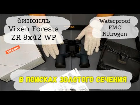 Видео: бинокль Vixen Foresta ZR 8x42 WP в поисках золотого сечения