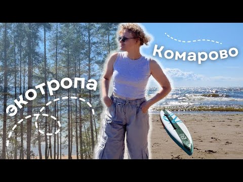 Видео: путешествия по Ленобласти | Экотропа «Комаровский берег»