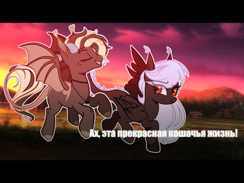 Видео: Ах, эта прекрасная кошачья жизнь!  [PMV/пони клип]