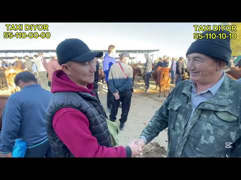 Видео: 12-ОКТЯБР/2025/ШЫМБАЙ МАЛ БАЗАРЫ/МАЛ БАЗАР 2025/ДЕМ БЕРМЕС МАЛ БАЗАР