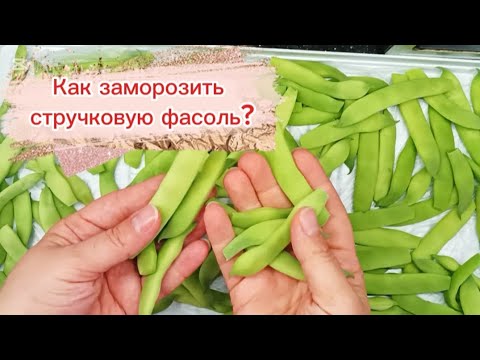 Видео: Как заморозить стручковую фасоль?