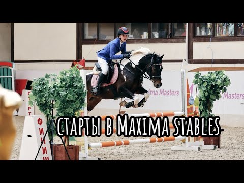 Видео: СТАРТЫ В MAXIMA STABLES | Новый конь?