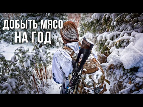 Видео: ДОБЫТЬ МЯСО НА ГОД. ЖИЗНЬ В ТАЙГЕ. ОХОТА НА ЛОСЯ С ПОДХОДА.