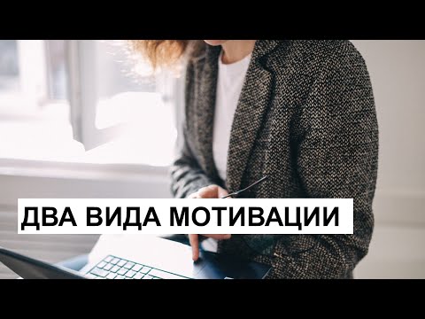 Видео: Два вида мотивации