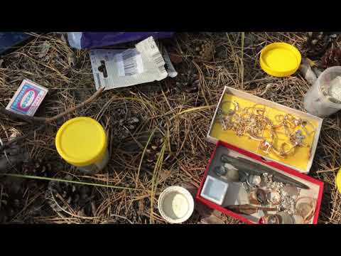 Видео: Часть первая. Проба Garrett AT PRO на разные виды золота и серебра. Осваиваем Minelab Eureka Gold.