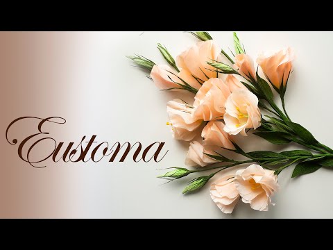 Видео: Эустома из бумаги / Lisianthus of paper