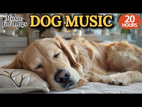 Видео: 24 часа успока-ивающей музыки для собак🐶💖Расслабляющая музыка для друга🦮🎵Против боязни разлуки