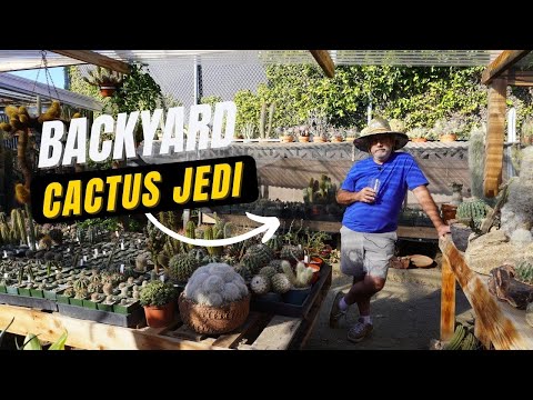 Видео: Пересадка #КАКТУСА в #керамику ручной работы (МЫ ИХ СДЕЛАЛИ!) + ЭКСКУРСИЯ