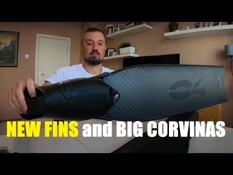 Видео: Нови плавници и едри врани (Подводен Риболов през октомври 2024)