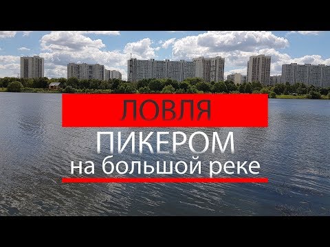 Видео: Ловля пикером на большой реке