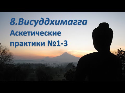 Видео: 008. II.1-30 Аскетические практики (дхутанга) 1-3