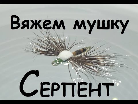 Видео: Serpent/Поденка с интересными нюансами