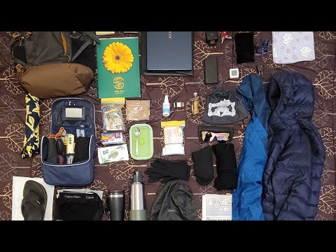 Видео: Рюкзак для жизни (2022)🧳Тревожный рюкзак🎒